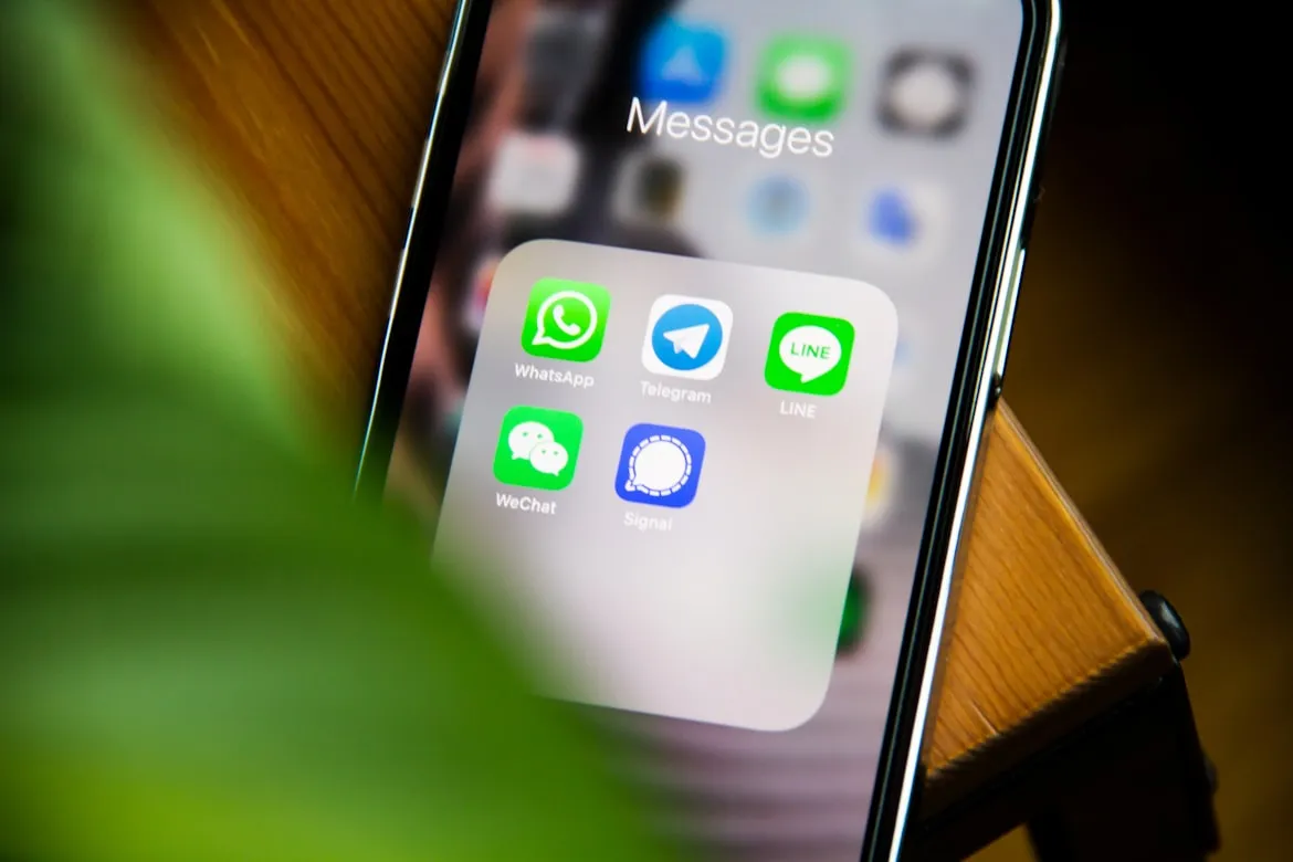 whatsapp bot